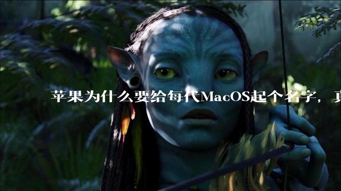 苹果为什么要给每代MacOS起个名字,真以为人们记得住分得清吗?
